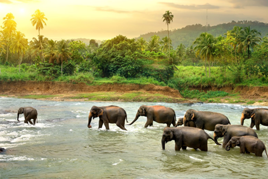 International tour packages from Pune by Parkhi Holidays